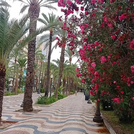La Casa De Kevin - Torrevieja Daya Vieja